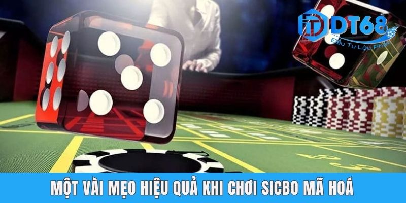 Tải Tài Xỉu MD5 - Hướng Dẫn Cài Đặt Game Đầy Đủ Từ DT68 Một vài mẹo hiệu quả khi chơi Sicbo mã hoá